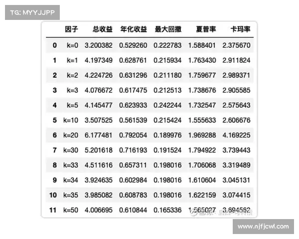 DK宏技术应用研究优化策略与实践指南分析 DK宏技术应用研究优化策略与实践指南分析